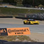 Monterey2016_0242 (April 30, 2016)